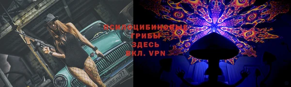 2c-b Абаза
