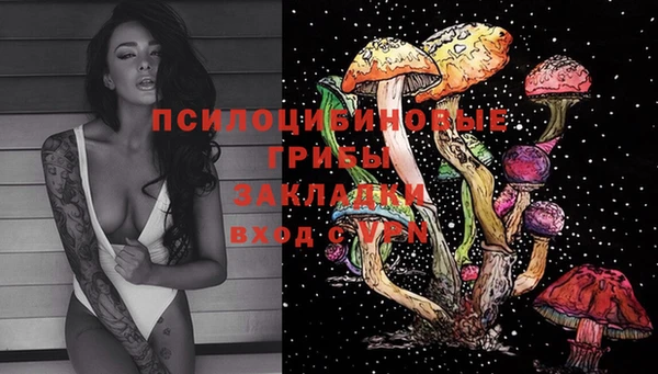 молекула духа Абинск