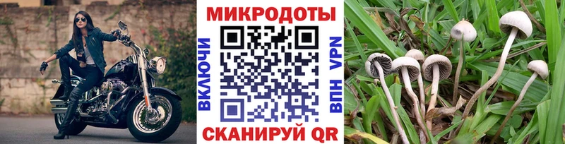 Псилоцибиновые грибы мухоморы  Ирбит 
